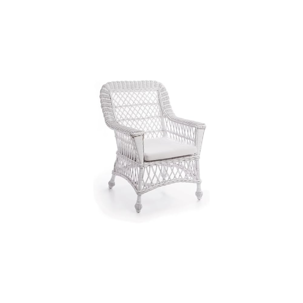 Overstock Montauk Arm Chair